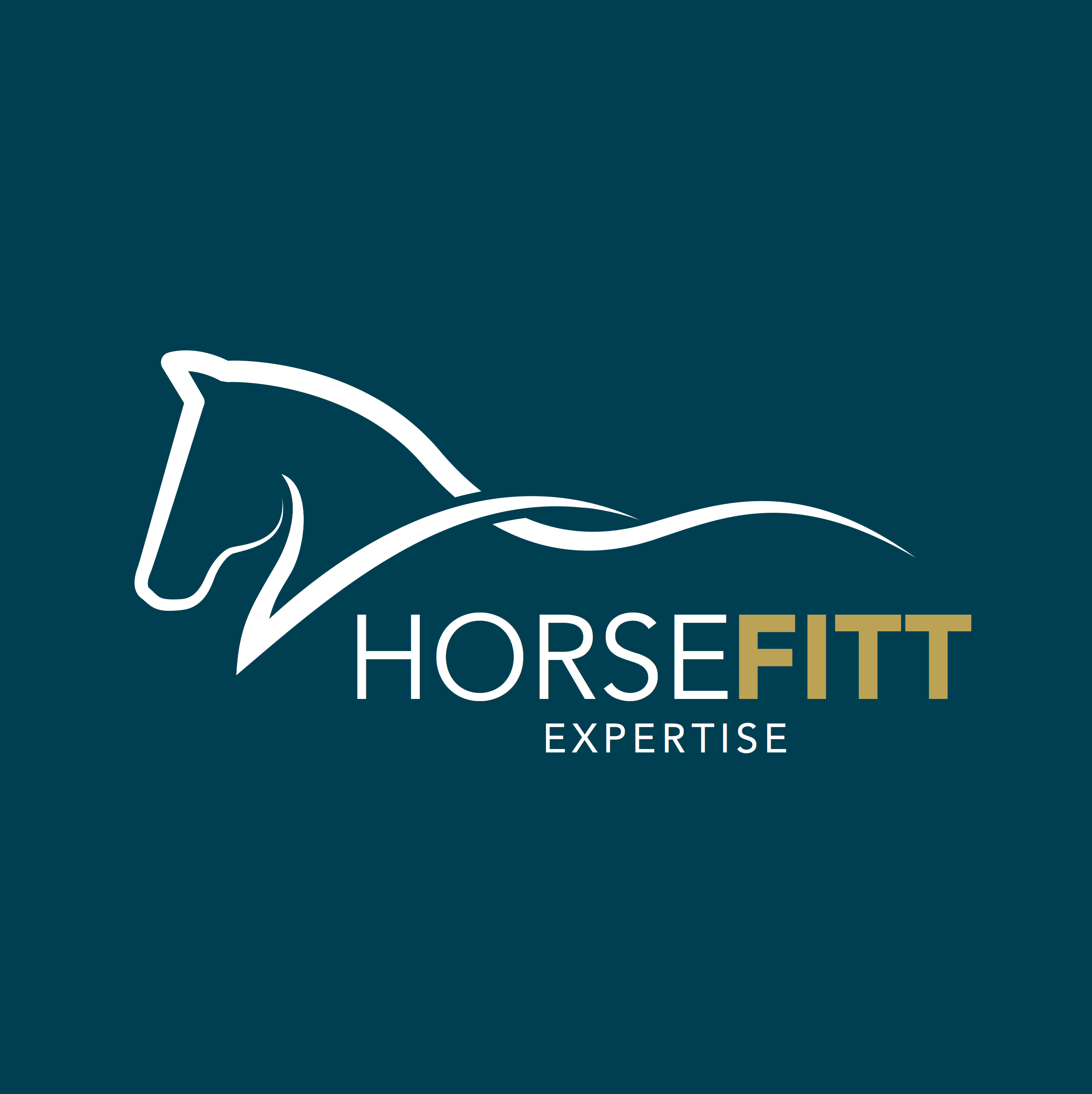 HORSEFITT EXPERTISE - GOUSSEN CAROLINE