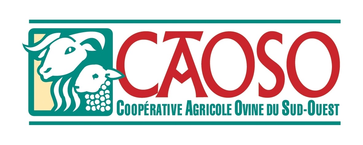 CAOSO